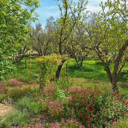 דירה Ulivi איזולה