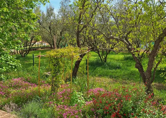 דירה Ulivi איזולה